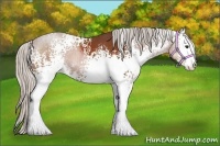 Horse Color:White Spotted Silver Bay Sabino