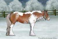 Horse Color:White Spotted Silver Bay Tobiano