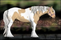 Horse Color:Silver Buckskin Dun Tobiano