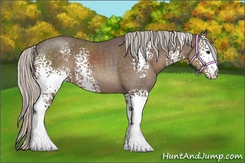 Horse Color:White Spotted Silver Black Sabino 