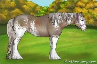 Horse Color:White Spotted Silver Black Sabino