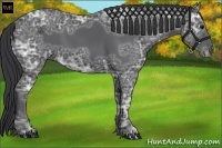 Horse Color:Black Ice 