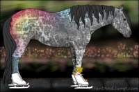 Horse Color:Black Ice 