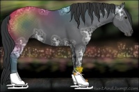 Horse Color:Black Ice 