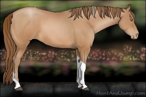Horse Color:Bay Pearl Tobiano 