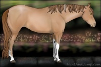 Horse Color:Bay Pearl Tobiano