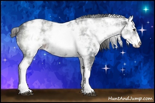 Horse Color:White Spotted Liver Chestnut Ice Sabino