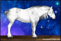 Horse Color:White Spotted Liver Chestnut Ice Sabino 