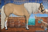 Horse Color:Palomino