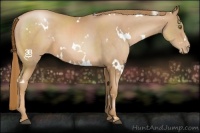 Horse Color:White Spotted Chestnut Pearl 