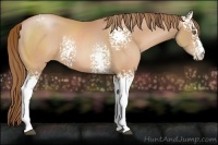 Horse Color:White Spotted Brown Pearl 