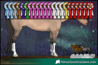 Horse Color:Brown Dun