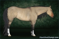 Horse Color:Brown Dun Rabicano
