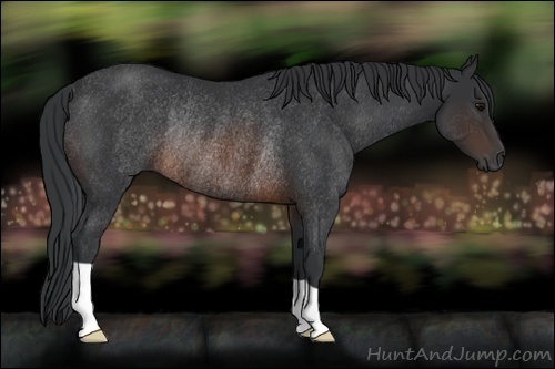 Horse Color:Brown Rabicano