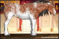 Horse Color:White Spotted Bay Ice 