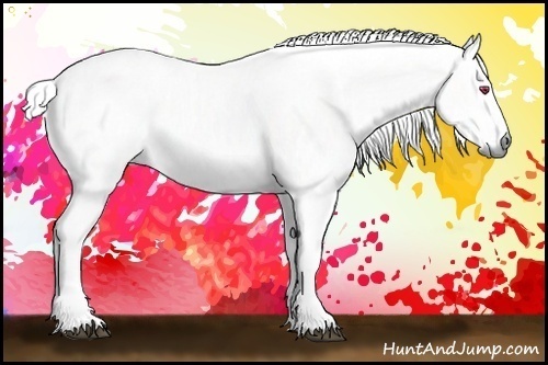 Horse Color:White Spotted Liver Chestnut Chinchilla 