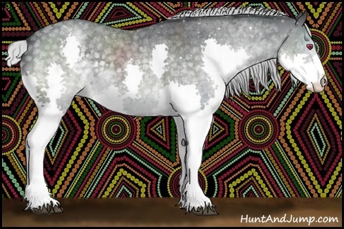 Horse Color:Silver Blue Chinchilla Roan Splash Rabicano 