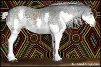 Horse Color:Silver Blue Chinchilla Roan Splash Rabicano