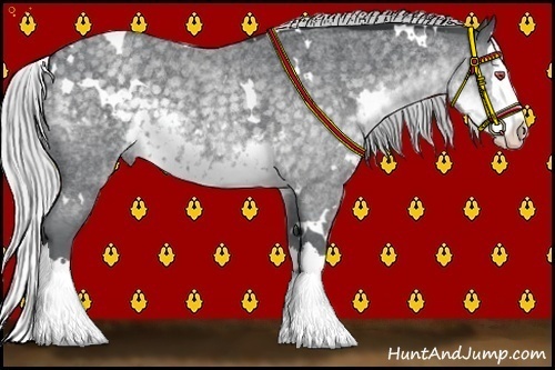 Horse Color:White Spotted Silver Smoky Blue Chinchilla Roan Splash Rabicano 