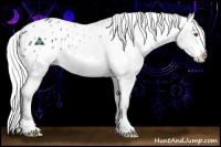 Horse Color:Silver Bay Chinchilla Ice Frame Appaloosa 