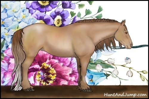 Horse Color:Brown Pearl Sabino