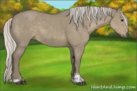 Horse Color:Silver Smoky Grullo Sabino