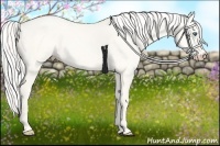 Horse Color:Cremello Dun 