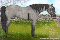 Horse Color:Smoky Grullo Roan 