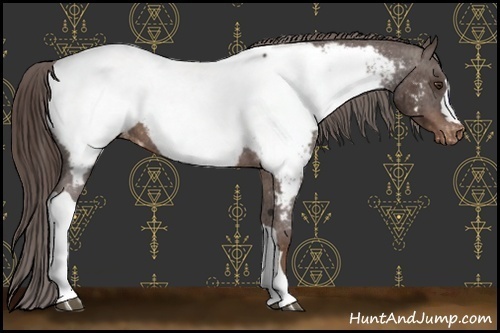Horse Color:Liver Chestnut Snowcap