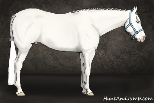 Horse Color:Silver Smoky Creme Dun 