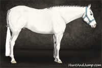 Horse Color:Silver Smoky Creme Dun 