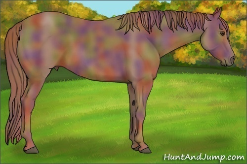 Horse Color:Nacre Chestnut 