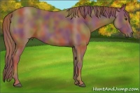 Horse Color:Nacre Chestnut 