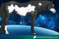 Horse Color:Black Frame