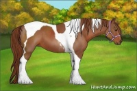 Horse Color:Chestnut Tobiano