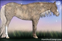 Horse Color:Silver Amber Champagne Ice Rabicano