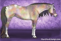 Horse Color:Nacre Buckskin Ice Onyx 