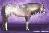 Horse Color:Nacre Bay Ice Onyx 