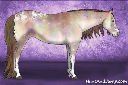 Horse Color:Nacre Red Onyx Ice