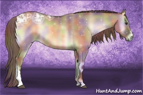 Horse Color:Nacre Red Dun Ice Onyx 