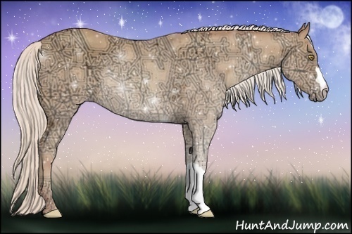 Horse Color:Silver Amber Champagne Ice Rabicano