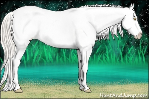 Horse Color:Silver Amber Champagne Ice Varnish Rabicano