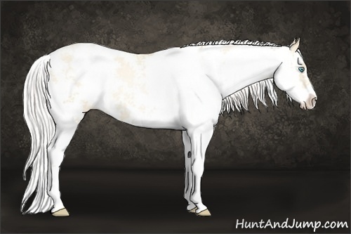 Horse Color:Silver Classic Cream Champagne Pearl Sabino