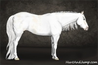 Horse Color:Silver Classic Cream Champagne Pearl Sabino