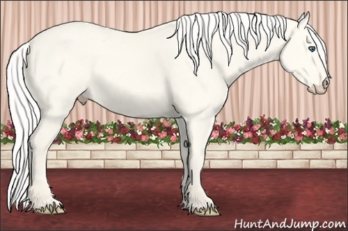 Horse Color:Silver Perlino Dun 
