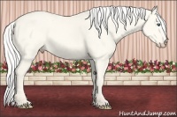 Horse Color:Silver Perlino Dun