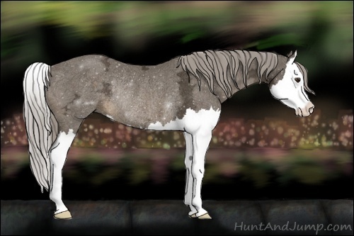 Horse Color:Chocolate Palomino Ice Splash Rabicano