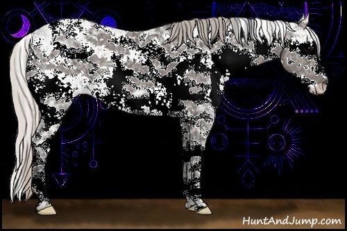 Horse Color:Silver Black Ice Sabino 