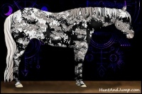 Horse Color:Silver Black Ice Sabino 