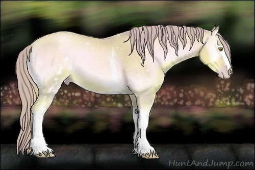 Horse Color:Watercolor White Spotted Gold Champagne Onyx